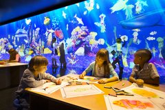 Drei Kinder zeichnen Fische vor einem digitalen Aquarium